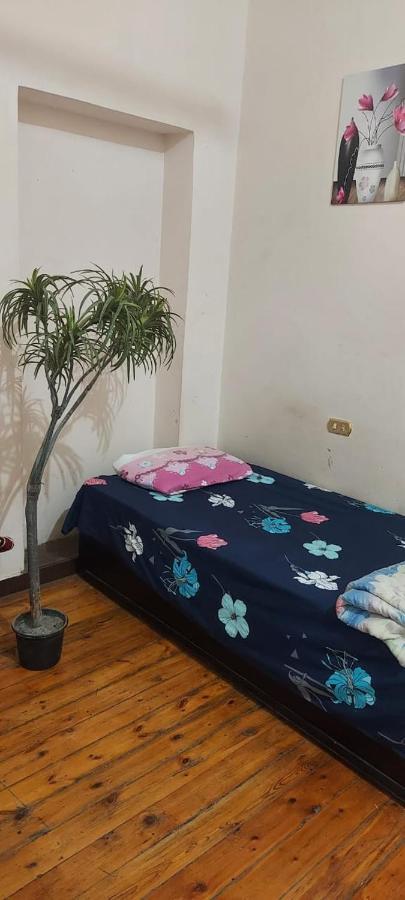 New Safari Hostel Каир Экстерьер фото