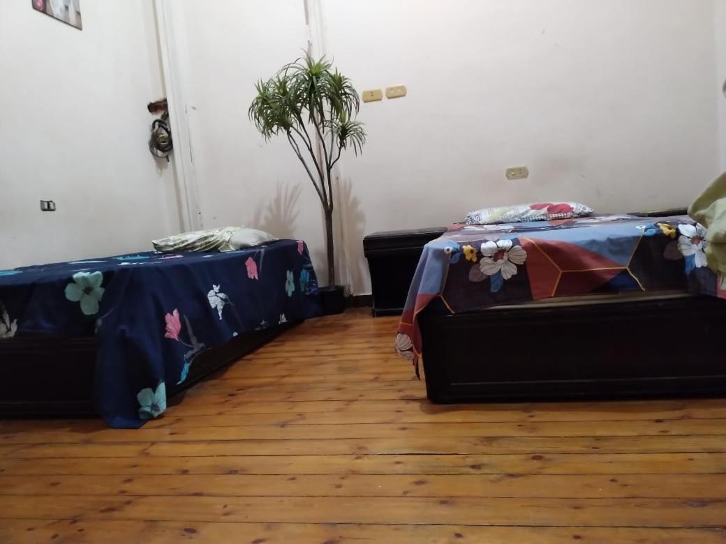 New Safari Hostel Каир Экстерьер фото